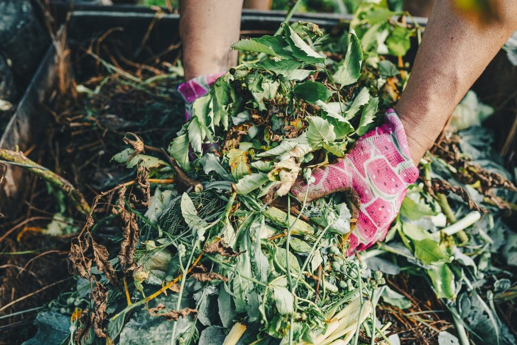 garden waste